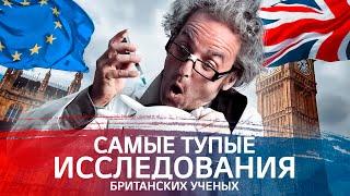 Самые тупые исследования британских ученых