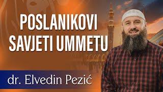 POSLANIKOVI SAVJETI UMMETU - dr. Elvedin Pezić