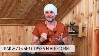 Как Жить Без Страха, Злости и Агрессии? Принцип Йоги «Ахимса"