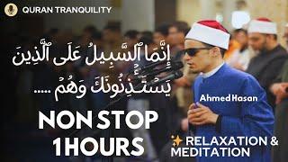 The Most Beautiful Quran Recitation | 1 Hour of Tranquility| Qari Mohammaed Ahmed Hassan
