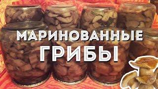 Маринованные грибы на зиму! Из Обабков