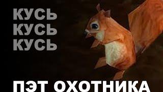 ОХОТНИК - выбор питомца для охотника В WoW Burning Crusade Classic | HUNTER - choice pet in WoW