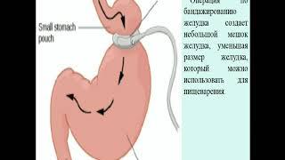 Общая псхология  Мотивации  Часть II