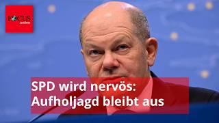 Scholz unter Druck: SPD-Aufholjagd bleibt aus