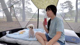 Cozy Solo Camping by the Sea with a Cute Dog | Korean Girl Camper