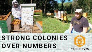 #beekeeping Resource Hives are Resourceful ! !