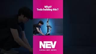 What？ Tesla building this？