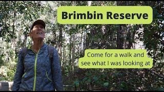 #5 Brimbin Reserve. Another hidden gem not too far from the Pacific Highway NSW Australia