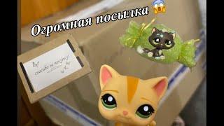 Lps распаковка Стоячка от @rein.cornacia 