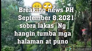 Breaking news PH. September 8,2021 sobra lakas Ng hangin Di mapigilan mga Puno maputol update jolina