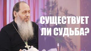 Существует ли судьба, предопределение?