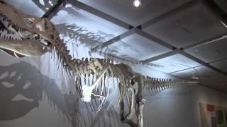 Glasgow Science Festival 2015: The Dinosaur Hunter