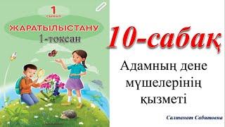 1 сынып жаратылыстану 10 сабақ Адамның дене мүшелерінің қызметі