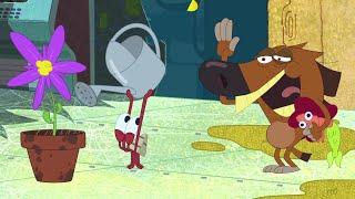 Zig & Sharko | Bad night for Zig (SEASON 2) BEST CARTOON COLLECTION | New Episodes in HD