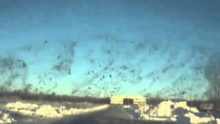 tikvesekspres-skijanje