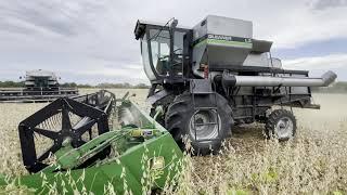 Soybean harvest at Stroda Farms