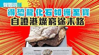 【聲如洪鍾】得恐龍化石如獲至寶，自證港燦窮途末路！