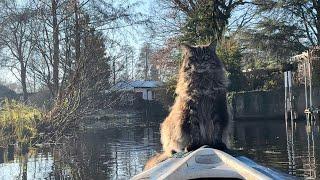 Kayaking with Louis: When a Silly Duck Collided with our kayak.