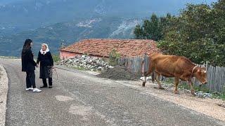 Dragostunjë fshati me pamje përrallore.”Këtu s’ka asnjë problem”. Pse nuk ankohen banorët aty?