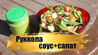 Руккола. Вкуснейший соус за 5 мин. Салат из рукколы. #руккола #салатсрукколой #соуспесто