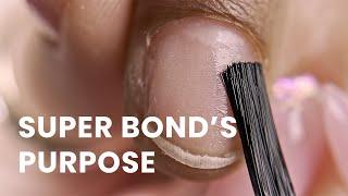 Super Bond Primer | When To Use & How | V Beauty Pure
