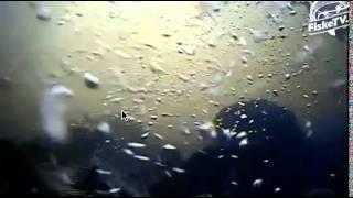 2  big Salmon Orkla underwater camera