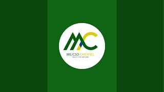 MILICSO CHANNEL is live