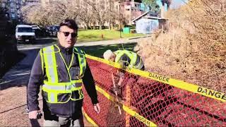 Lawn Reseeding with Turf Blend | Grass Repair for the City of Vancouver & Granville Island 