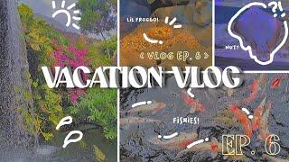 Family vacation vlog ️ :: kayaking , eagles feeding  + underwater world! 