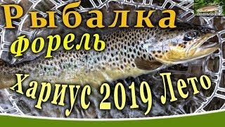 Форель. Хариус. Малая река. Рыбалка в Ленинградской области АВГУСТ 2019.