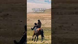 Что нашли на раскопках в Сибири? Скифы Тувы #путешествие #археология #shorts #тува