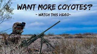 COYOTE HUNTING GOLD!!! CALL More COYOTES After These Tips!!