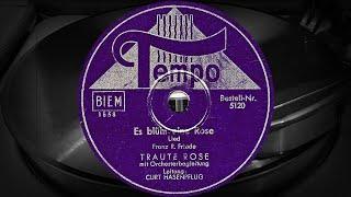 Es blüht eine Rose - TRAUTE ROSE mit Orchesterbegleitung, Leitung: CURT HASENPFLUG (1942-43)