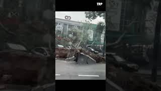 Another Massive Tree Falls On Cars During Storm