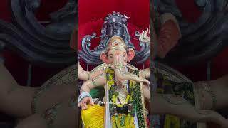 Gaddianaram utsav Samithi ka Raja 2024  #ganeshfestival #ganeshchaturthi #ytshorts #trending