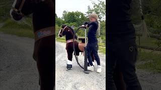 PUMP IT UP TREND with Ella #shorts #horse #equestrian #pony