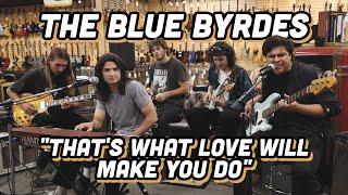 The Blue Byrdes "That's What Love Will Make You Do"