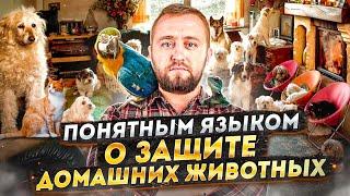 Защита животных | «Понятным языком»