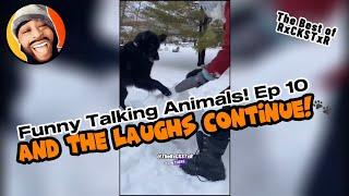 Best of RxCKSTxR Funny Talking Animal Voiceovers Compilation Ep 10