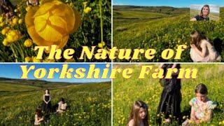 The Nature of Yorkshire Farm - Amanda Owen