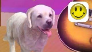 Lucky Patcher - Fails Money PetDog Game Simulator Gamelon Studios - Redmi 9A