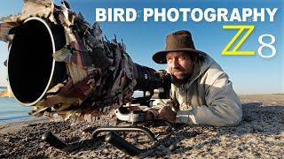 Bird Photography With Homemade Sled