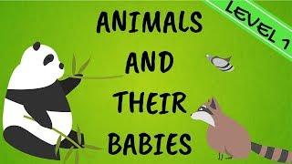 Animals And Their Babies: English Vocabulary