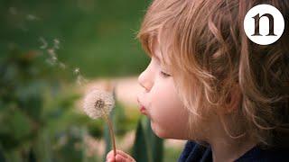 The secret physics of dandelion seeds