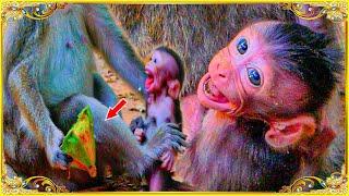 Mother Allow Baby Arian Only Milk...But The Baby Doesn't Listen And Trying To Identify Food.