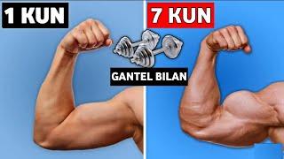 GANTEL BILAN MUKAMMAL BICEPS VA TRICEPS GA ISHLASH UY SHAROTITIDA | Bilak chiqarish usullar