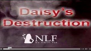 daisy's destruction part I