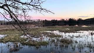 The sound of nature, enjoy the fauna and flora of Union Bell Ranch.