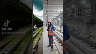 #shortvideo #tajikistan #qazaqstantv #qiziqarli #tiktokvideo #uzbekistan #uzmirmedia