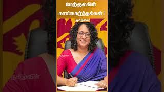 மேற்குலகின் காய்நகர்த்தல்கள்!